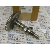 66 012 06-S KIT, CAMSHAFT-EFI